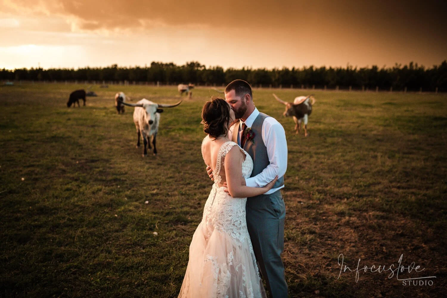 A couple embracing in a golden field on their wedding day